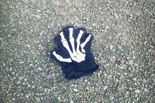 Little Book of Lost Gloves