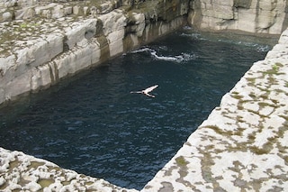 Dorothy-Cross,-Poll-Na-Bpeist-(Worm-Hole),-2008