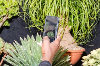 08_AlexanderCoggin_ChelseaFlowerShow_AnOther