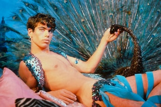 Pink Narcissus, 1971