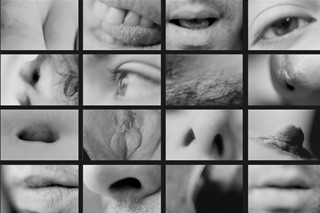 Portrait Partials_1970-2007_37x38.5