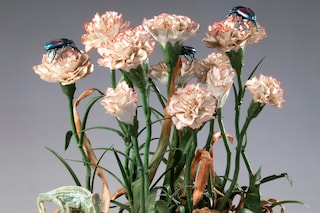 Between Worlds at Kodl Contemporary