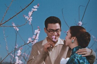 The Wandering Princess, 1960