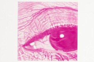 Linda by Chuck Close 