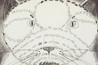 Louise Bourgeois, The Angry Cat, 1999