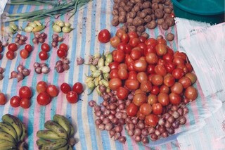 More Than Our Bellies Cookbook Phillip Lim Viviane Sassen