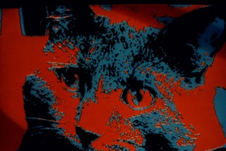Chris Marker, Zapping Zone