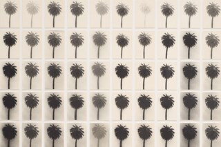 2018012--A Palm Tree Is A Palm Tree Is A Palm Tree