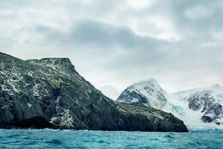 Antarctic Moss #0212-7B33 (5,500 years old; Elephant Island,