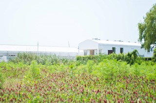 Keiji Rose Farm