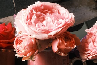 Scenery Magazine Issue 1 Simon B Morch