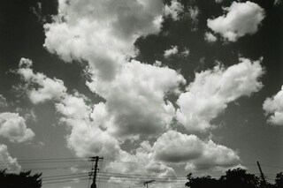 7977573.0001.205-00000006-ic