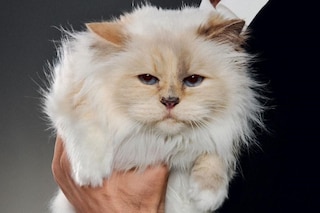 Hublot_Red_Magic_Ceramic_KV_Choupette_0