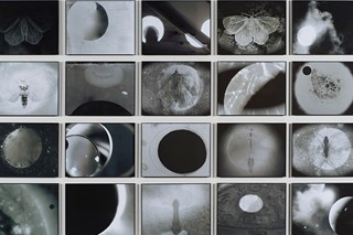 Night-Over-Alice-Aprings,-2013