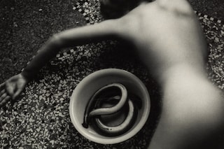 Francesca Woodman Eel Series 1977-8 Artist Rooms 