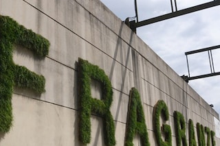 Fragranze