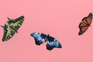 Butterfly Painting