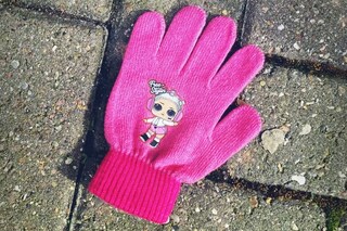 Little Book of Lost Gloves