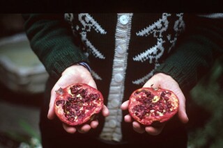 Slide, 2011–12 by Ellen Lesperance