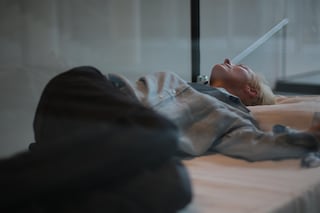 Tilda Swinton, The Maybe