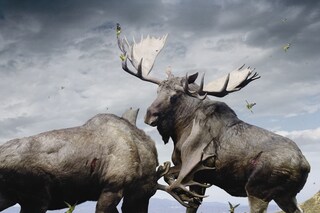Untitled #133, 2005, Simen Johan