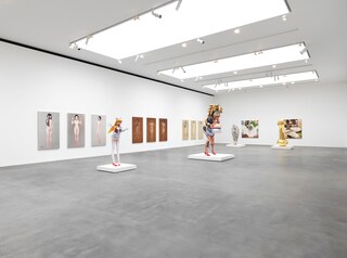 Takashi Murakami installation view