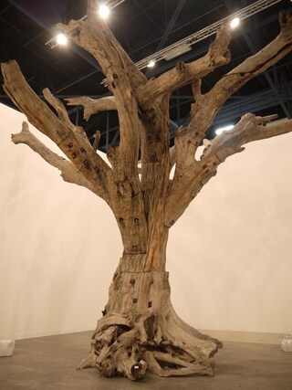 Tree, Ai Weiwei, 2011