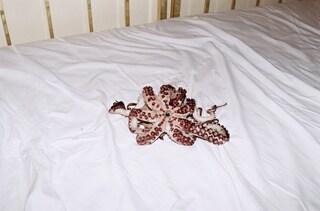 Octopussy