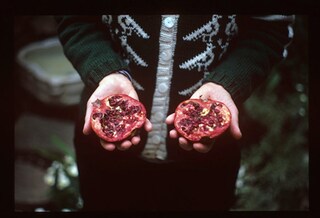 Slide, 2011–12 by Ellen Lesperance