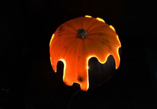 Pumpkin by Quentin Jones