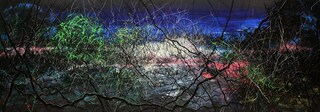 Zeng Fanzhi, Pure Land, 2012