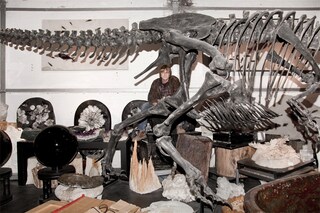 Fossil