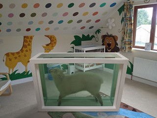 Damien Hirst