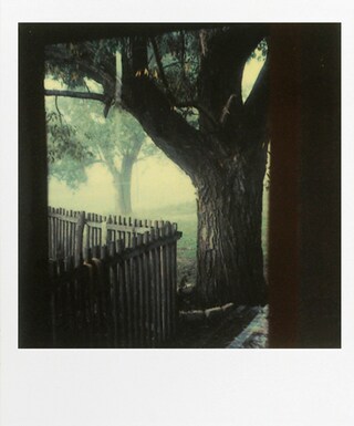 Polaroid by Andrei Tarkovsky, 1979-84
