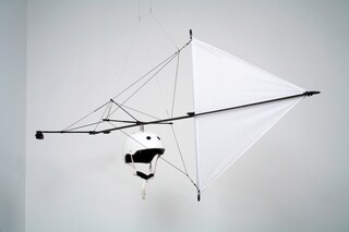 Windwalk by Tim Knowles