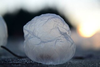 Photography by Angela Kelly