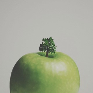 Parsley on apple stem / tree on hill