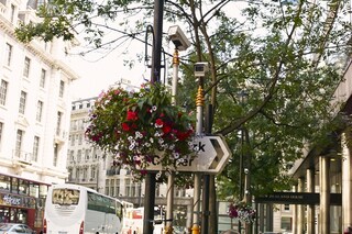 London in Bloom