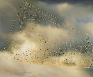 Catherine Ulitsky, Flocks, 2006