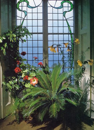 Success with House Plants, 1979