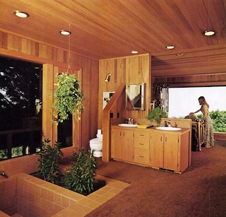 Remodelling Your Home, 1979