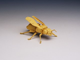 Yellow Jacket Origami