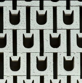 Cat Bricks