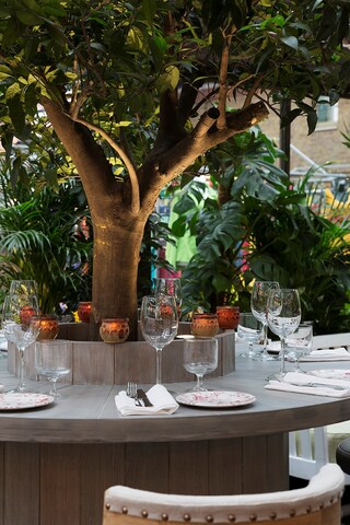 The garden at Blixen, London