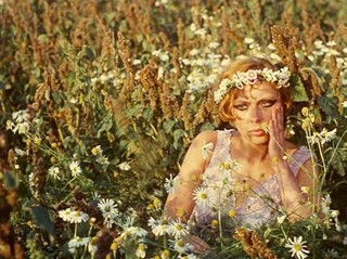 Daisies (1966)