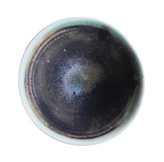 Clam-Lab