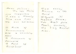 totheoriole_large-1