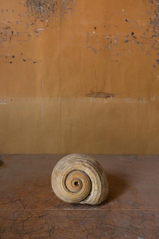 3_Meyerowitz_Gallery_07