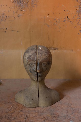 3_Meyerowitz_Gallery_08