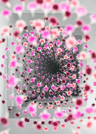 Gray_and_Pink_web2